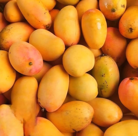 مانجو عويس
